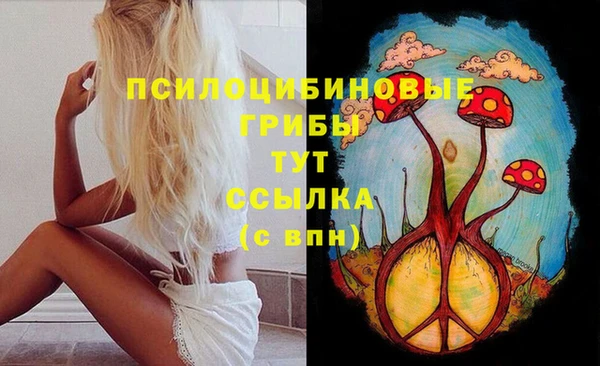 эйфоретик Касимов
